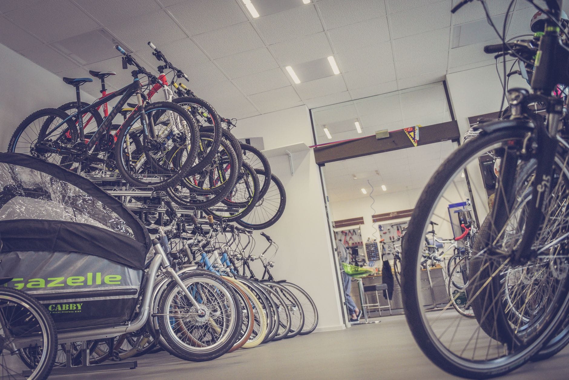 Różne modele rowerów wystawione w nowoczesnym wnętrzu sklepu